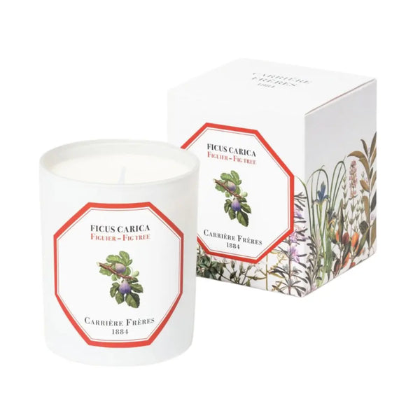 Carriere Freres Fig Tree Candle 185g Carriere Freres - Beauty Affairs 2